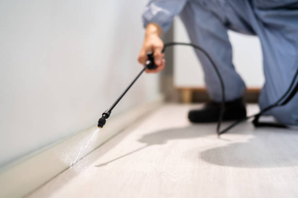 Licensed Cockroach Control service in Gibsonville, NC - Nex Pest Control