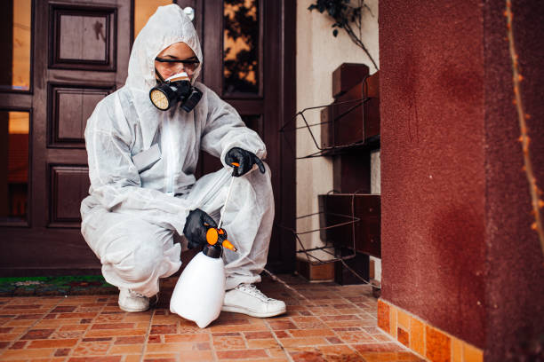 Reliable Cockroach Control contractor in Gibsonville, NC by Nex Pest Control